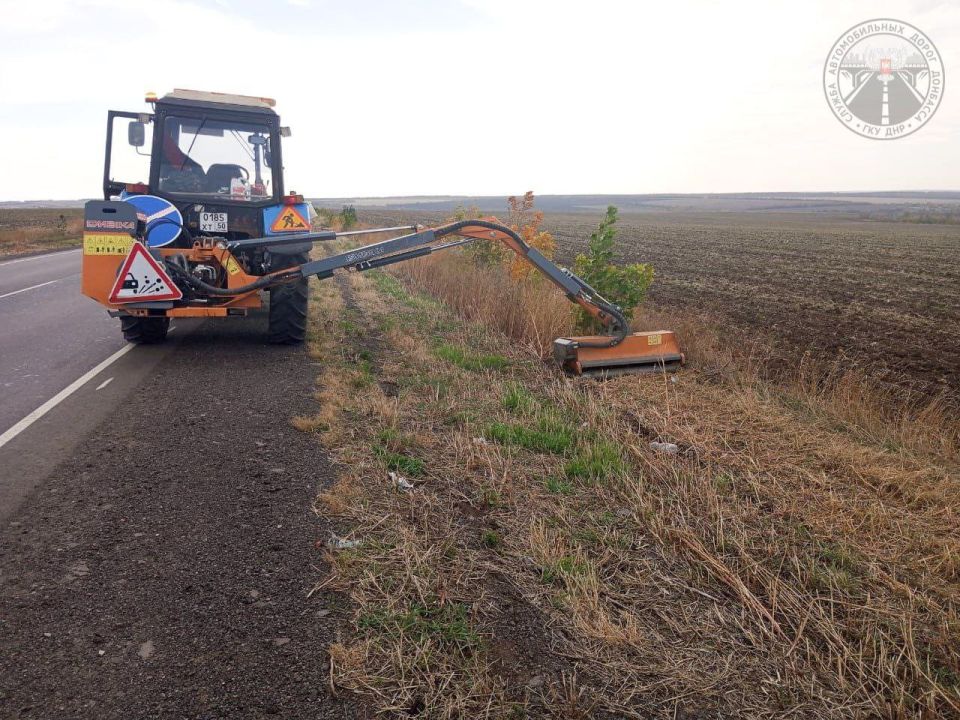 #свод_за_сутки #летнее_содержание #свод_за_сутки #летнее_содержание