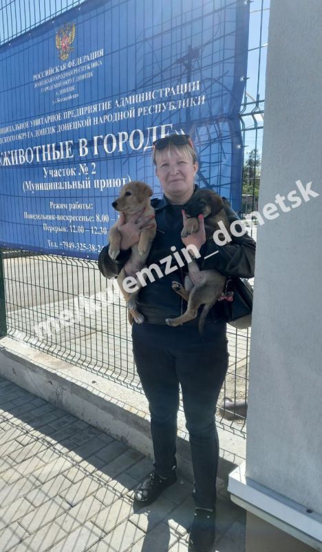 Алексей Кулемзин: Каждый день сотрудники предприятия «Животные в городе» неустанно заботятся о четвероногих друзьях! Они обеспечивают безопасность животным, оказывают необходимую ветеринарную помощь и окружают заботой... Алексей Кулемзин: Каждый день сотрудники предприятия «Животные в городе» неустанно заботятся о четвероногих друзьях! Они обеспечивают безопасность животным, оказывают необходимую ветеринарную помощь и окружают заботой...