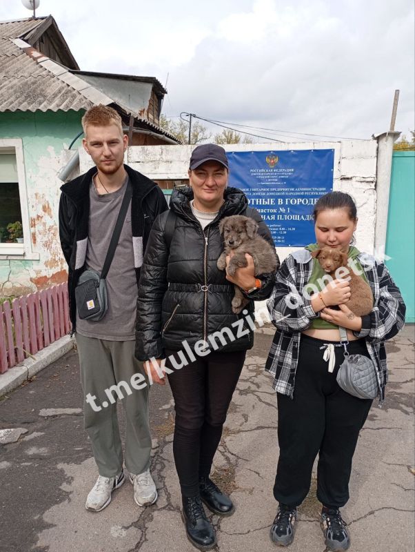 Алексей Кулемзин: Каждый день сотрудники предприятия «Животные в городе» неустанно заботятся о четвероногих друзьях! Они обеспечивают безопасность животным, оказывают необходимую ветеринарную помощь и окружают заботой... Алексей Кулемзин: Каждый день сотрудники предприятия «Животные в городе» неустанно заботятся о четвероногих друзьях! Они обеспечивают безопасность животным, оказывают необходимую ветеринарную помощь и окружают заботой...