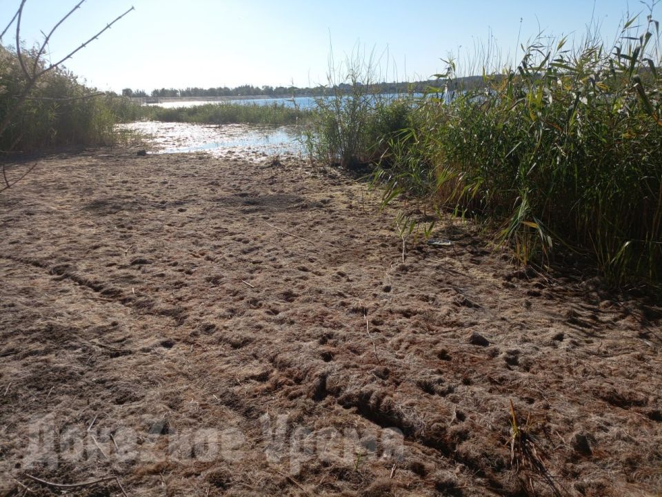 «Это явление временное»: в Минприроды Республики назвали причину массового обмеления водоемов «Это явление временное»: в Минприроды Республики назвали причину массового обмеления водоемов