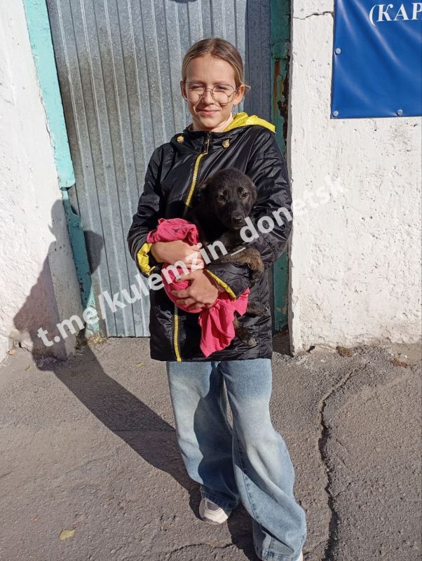 Алексей Кулемзин: Каждый день сотрудники предприятия «Животные в городе» неустанно заботятся о четвероногих друзьях! Они обеспечивают безопасность животным, оказывают необходимую ветеринарную помощь и окружают заботой... Алексей Кулемзин: Каждый день сотрудники предприятия «Животные в городе» неустанно заботятся о четвероногих друзьях! Они обеспечивают безопасность животным, оказывают необходимую ветеринарную помощь и окружают заботой...
