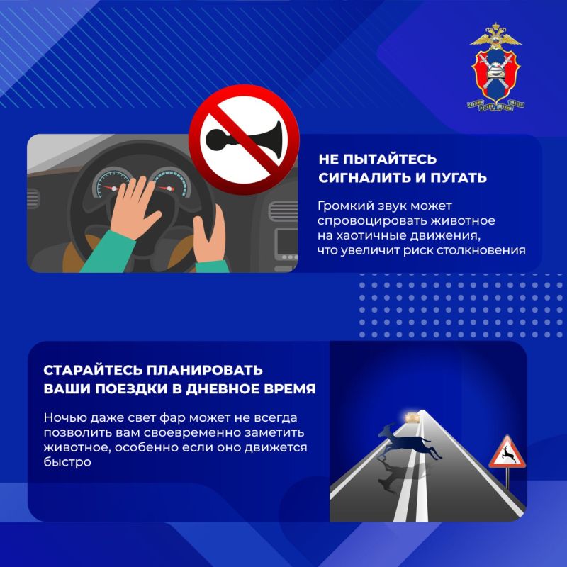 Министерство Здравоохранения ДНР и Госавтоинспекция по ДНР информирует население о важности соблюдения правил дорожного движения (Часть 2) Министерство Здравоохранения ДНР и Госавтоинспекция по ДНР информирует население о важности соблюдения правил дорожного движения (Часть 2)