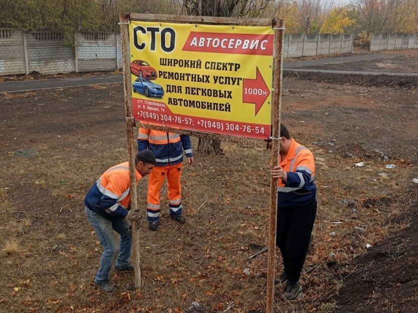 #свод_за_сутки #летнее_содержание #свод_за_сутки #летнее_содержание
