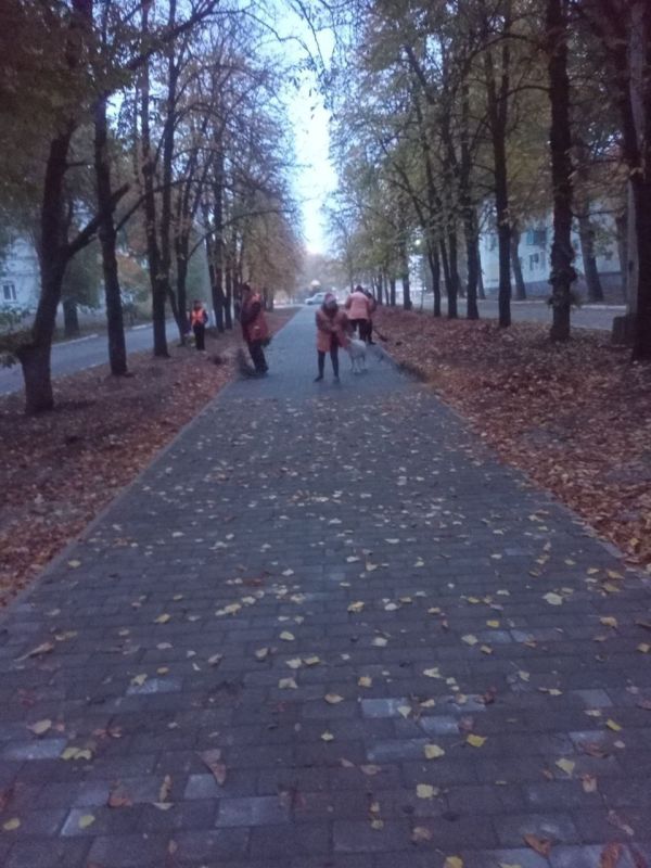 С заботой об округе.. На 12.10.2025 года сотрудниками МУП АГЯ «ЖЭК» выполнены следующие виды работ: выполнены работы по уборке придомовой территории по адресам: С заботой об округе.. На 12.10.2025 года сотрудниками МУП АГЯ «ЖЭК» выполнены следующие виды работ: выполнены работы по уборке придомовой территории по адресам: