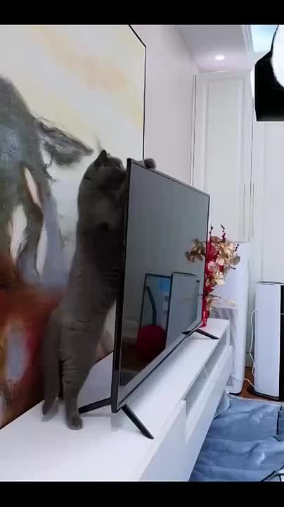  ,  ,  