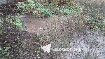 #нампишут Гейзер бьет из-под земли по улице Дарьяльской в Кировском районе Донецка