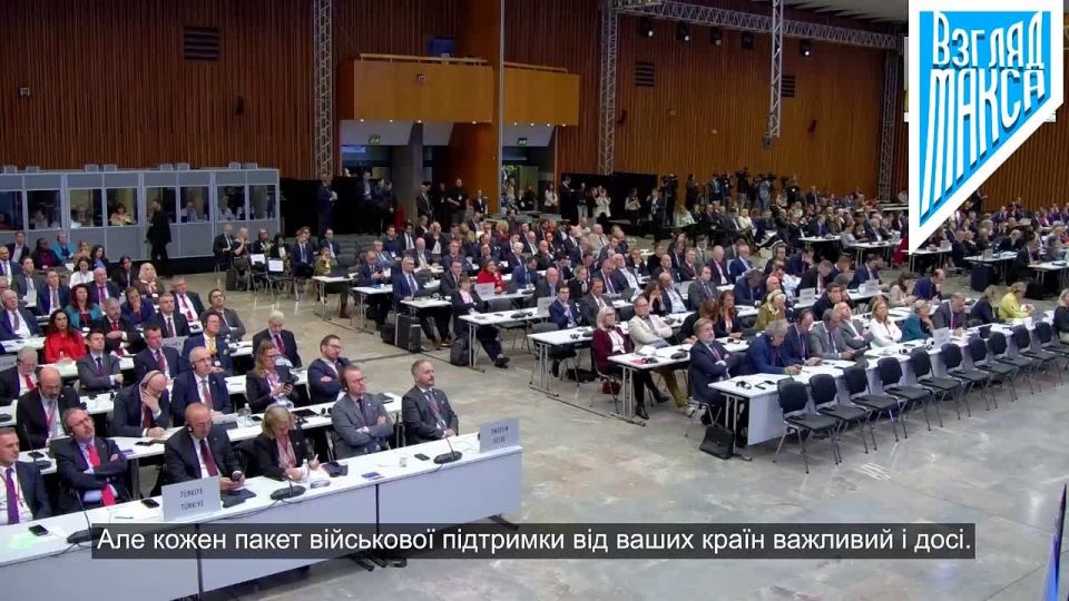 Зеленский выступил перед парламентской Ассамблеей НАТО: