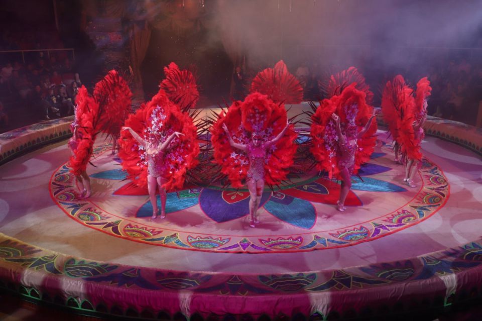 Гастроли в ДНР и ЛНР завершились награждением артистов Росгосцирка Гастроли в ДНР и ЛНР завершились награждением артистов Росгосцирка