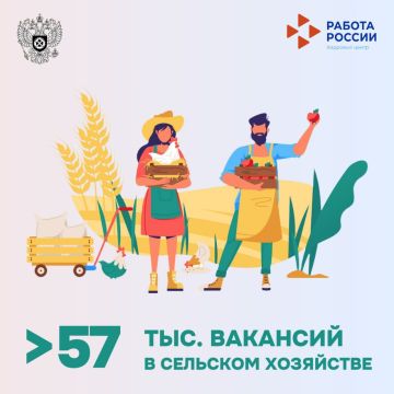 Федеральная служба по труду и занятости (VK)