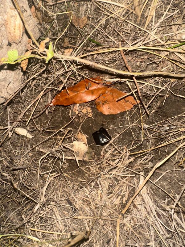 Сотрудники полиции пресекли незаконный оборот наркотиков в столице Республики Сотрудники полиции пресекли незаконный оборот наркотиков в столице Республики