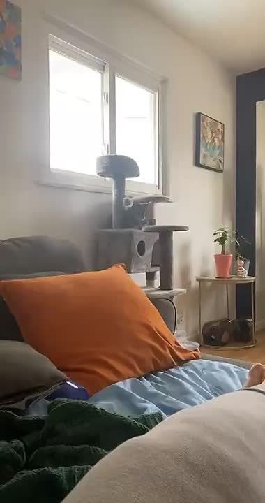   !