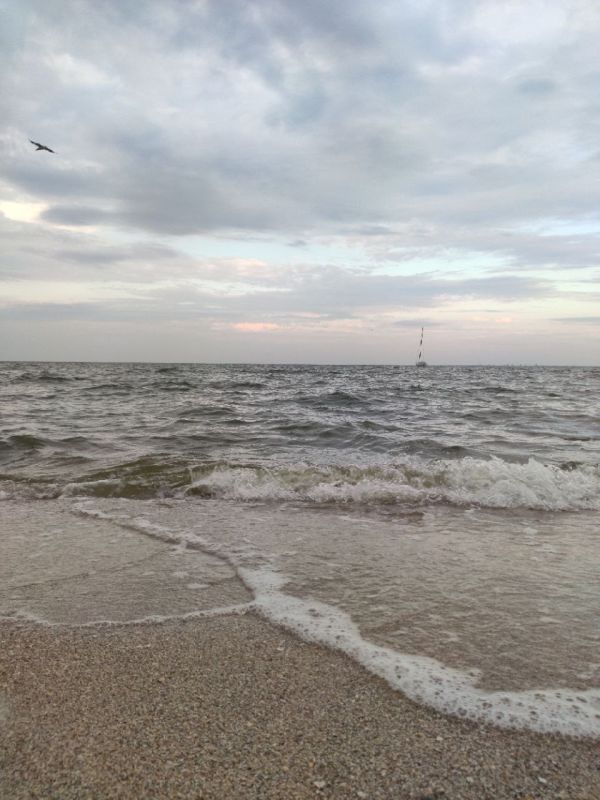 ����� �������: �������� ������� ������ ����� �� ������ ����������� �������������� ��������