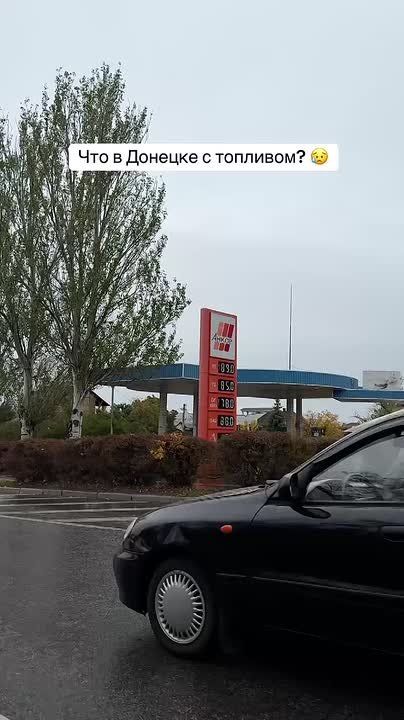    ,      , 