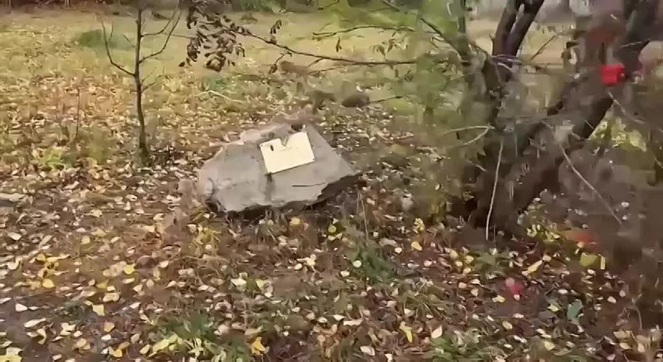  ***:        