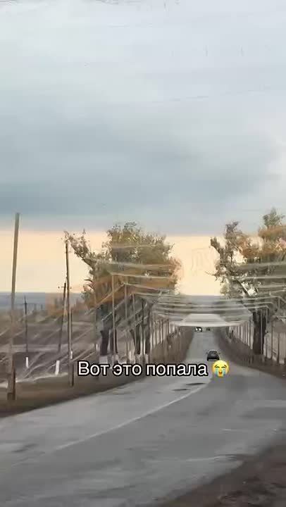  -.   ,        