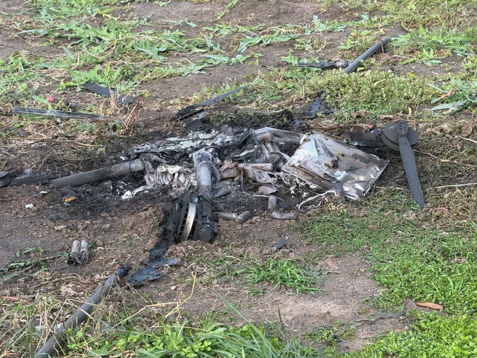  :     40  : 17    , 12   ,  3     ׸ ,  2     , 1    