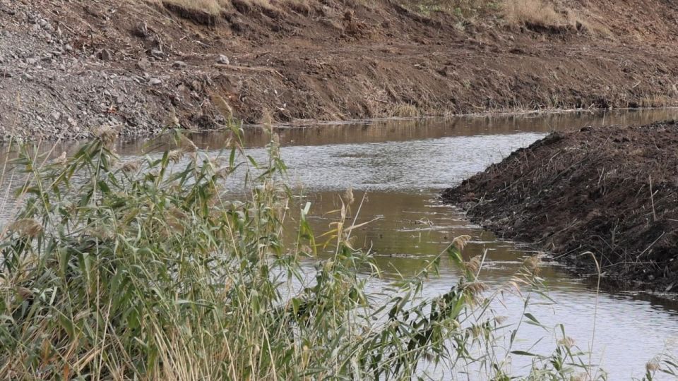 ����� �������: ���������� ��������� ���� �������� �� �������� � ������