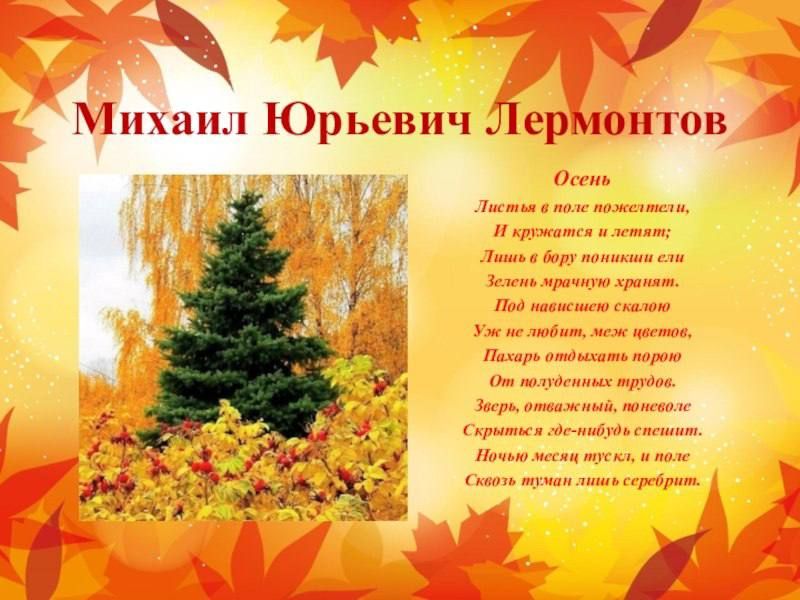 «Встречи с Поэтом» - приобщаемся к лермонтовскому наследию! «Встречи с Поэтом» - приобщаемся к лермонтовскому наследию!