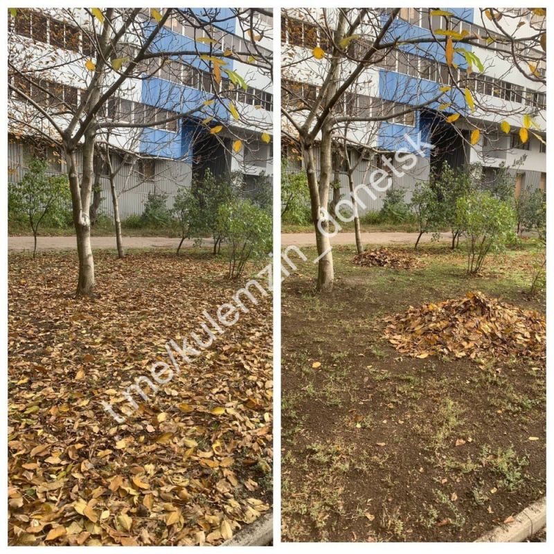 Специалисты коммунального предприятия «Зелёное строительство» продолжают работу по поддержанию и благоустройству нашего города Специалисты коммунального предприятия «Зелёное строительство» продолжают работу по поддержанию и благоустройству нашего города