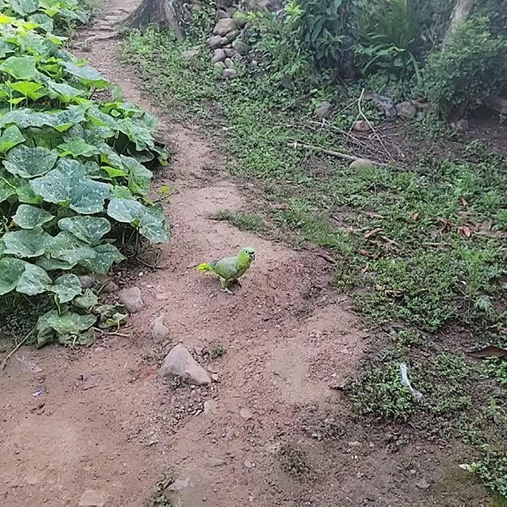   ,     