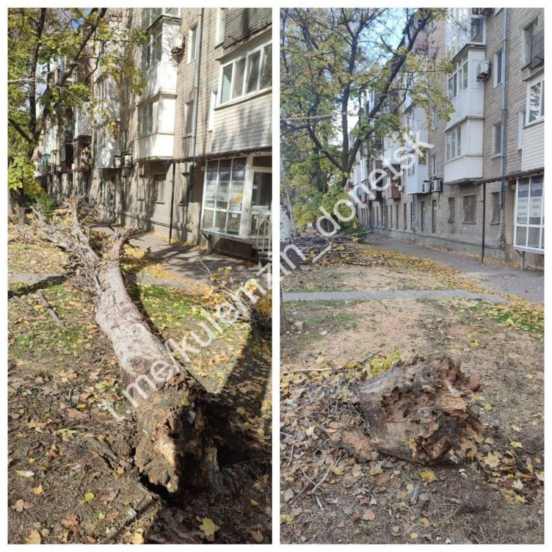 Алексей Кулемзин: Специалисты коммунального предприятия «Зелёное строительство» продолжают работу по поддержанию и благоустройству нашего города Алексей Кулемзин: Специалисты коммунального предприятия «Зелёное строительство» продолжают работу по поддержанию и благоустройству нашего города