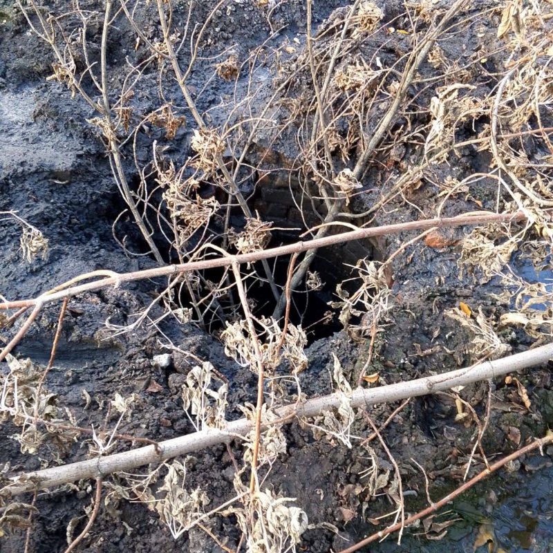 Депутаты Народного Совета: ежедневная борьба за воду Депутаты вместе с коммунальными службами и представителями муниципалитетов продолжают контролировать устранение аварий на сетях водоснабжения. Эту работу Народный Совет... Депутаты Народного Совета: ежедневная борьба за воду Депутаты вместе с коммунальными службами и представителями муниципалитетов продолжают контролировать устранение аварий на сетях водоснабжения. Эту работу Народный Совет...