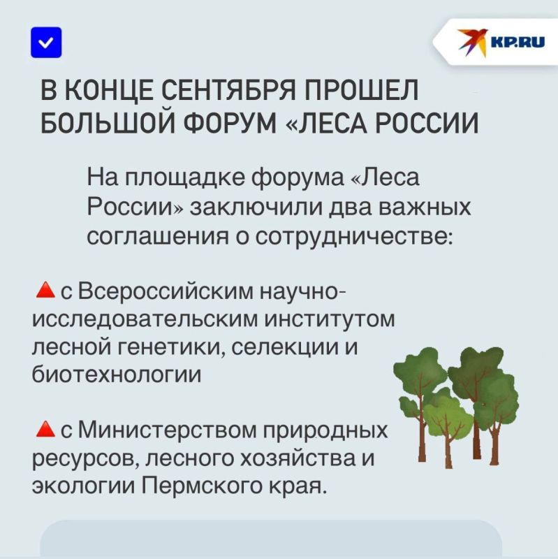 Вернуть лесу жизнь: Ученые помогут спасти «зеленые легкие» ДНР Вернуть лесу жизнь: Ученые помогут спасти «зеленые легкие» ДНР