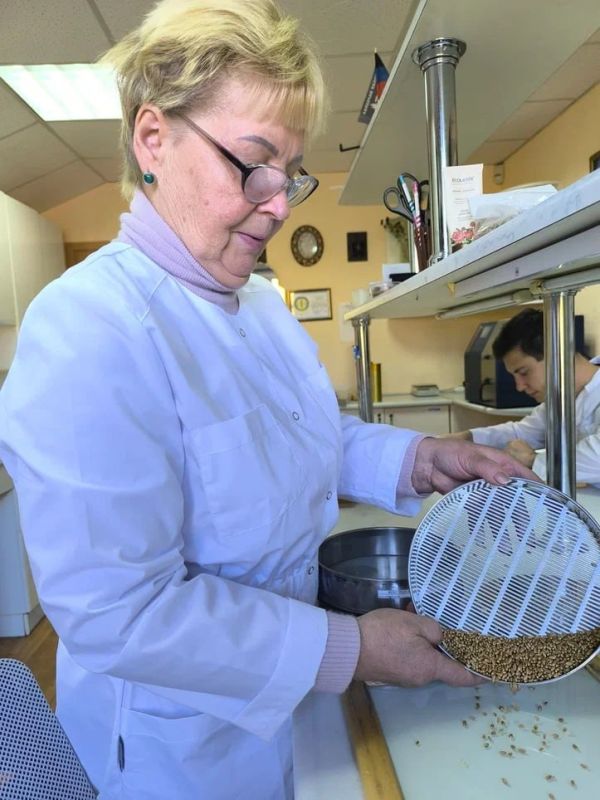 Засушливый год. Из какого зерна будут делать хлеб в Донецкой Народной Республике Засушливый год. Из какого зерна будут делать хлеб в Донецкой Народной Республике