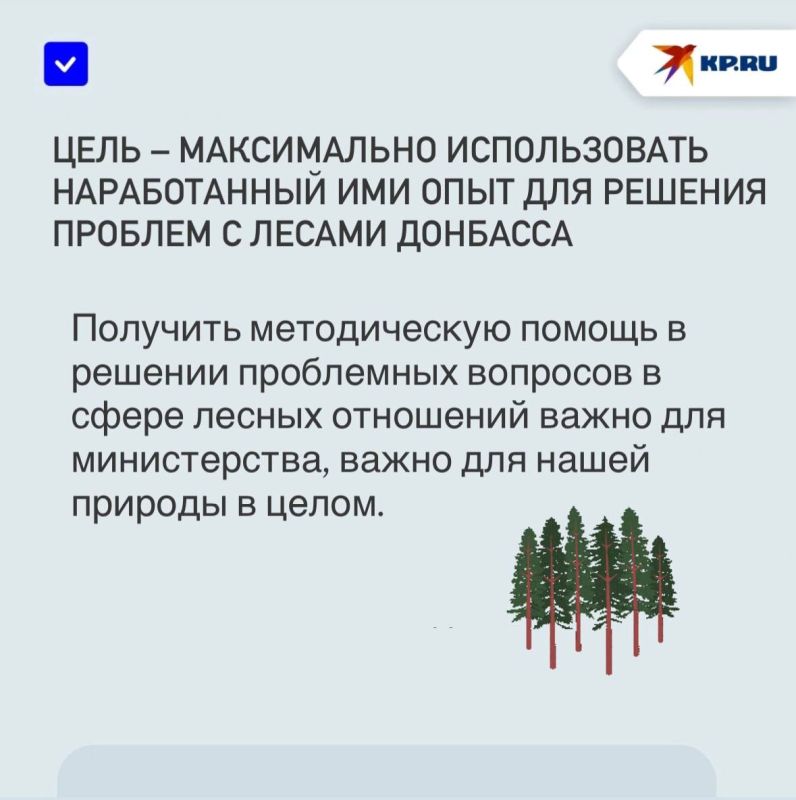 Вернуть лесу жизнь: Ученые помогут спасти «зеленые легкие» ДНР Вернуть лесу жизнь: Ученые помогут спасти «зеленые легкие» ДНР