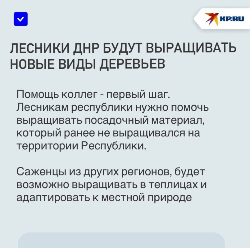 Вернуть лесу жизнь: Ученые помогут спасти «зеленые легкие» ДНР Вернуть лесу жизнь: Ученые помогут спасти «зеленые легкие» ДНР