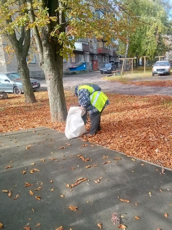    ..  15.10.2025 .   &quot;&quot;    :         .    ,      ...