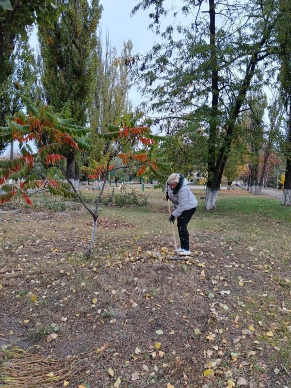 Иван Приходько: Активисты «Единой России» благоустраивают свой район в рамках проекта «Городская среда» Иван Приходько: Активисты «Единой России» благоустраивают свой район в рамках проекта «Городская среда»