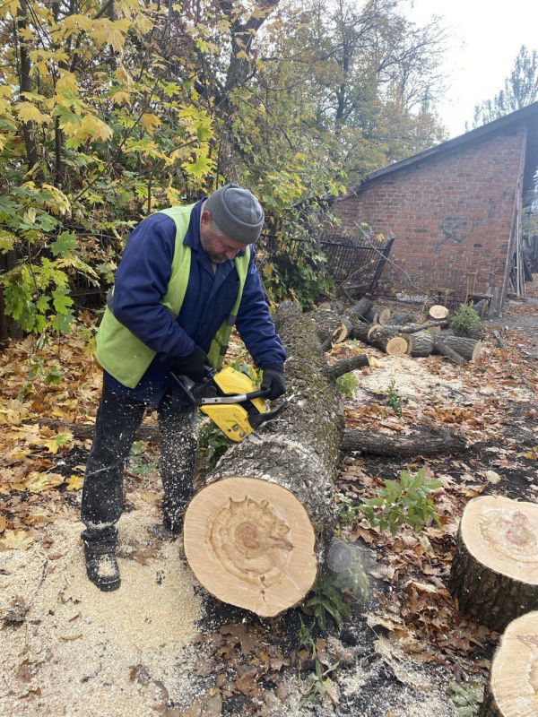 С заботой об округе.. На 15.10.2025 г. сотрудниками МУП "ЭКОС" выполнены следующие виды работ: Сбор опавшей листвы и дорожный смет по ул. Школьная Удаление самосеянных деревьев, погрузка веток и мусора на территории... С заботой об округе.. На 15.10.2025 г. сотрудниками МУП "ЭКОС" выполнены следующие виды работ: Сбор опавшей листвы и дорожный смет по ул. Школьная Удаление самосеянных деревьев, погрузка веток и мусора на территории...