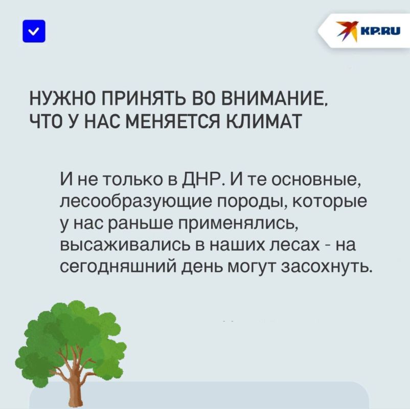 Вернуть лесу жизнь: Ученые помогут спасти «зеленые легкие» ДНР Вернуть лесу жизнь: Ученые помогут спасти «зеленые легкие» ДНР