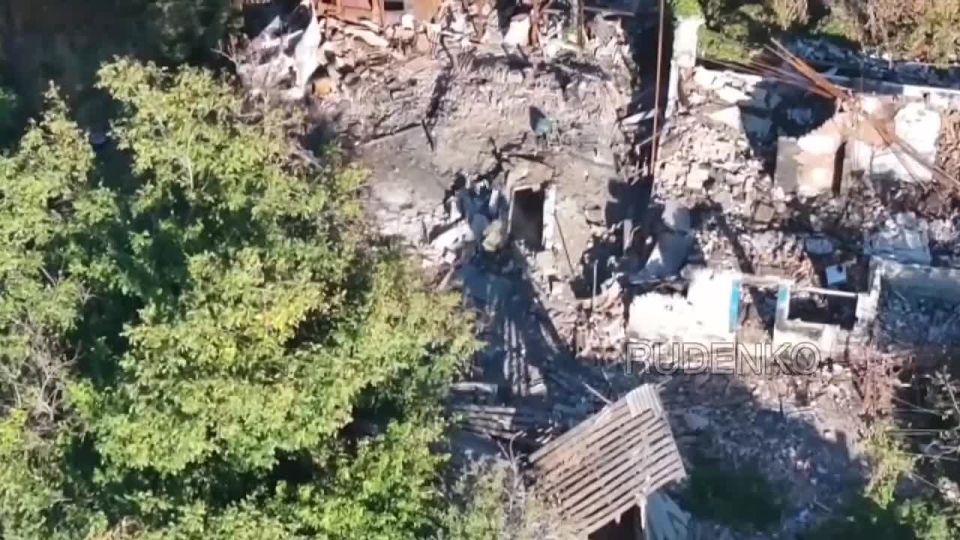  :  !!.  55-     ()            ...