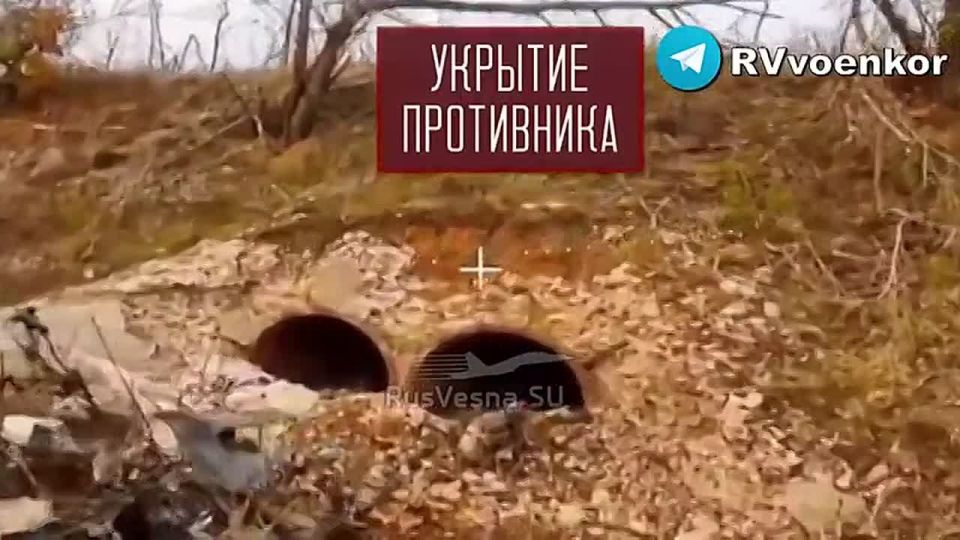 «тважные» наступают в Днепропетровской области и штурмуют Покровск