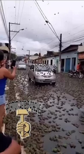      ,              