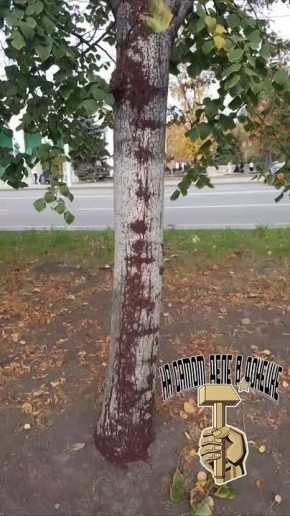 #.   ,    ,     