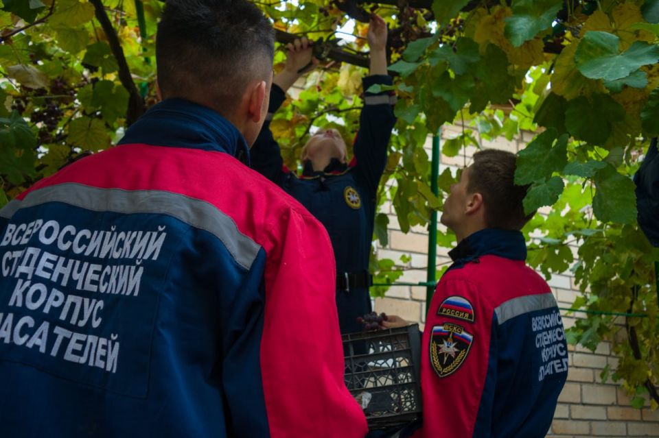 Тепло добрых дел. Добровольцы Донецкого РО ВСКС вместе со студентами-спасателями из Москвы и Московской области приехали в Зуевку, чтобы поддержать Татьяну Михайловну Воронкову, мать героически погибшего участника СВО... Тепло добрых дел. Добровольцы Донецкого РО ВСКС вместе со студентами-спасателями из Москвы и Московской области приехали в Зуевку, чтобы поддержать Татьяну Михайловну Воронкову, мать героически погибшего участника СВО...