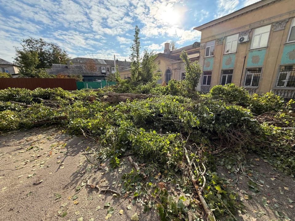 Петр Потапенко совместно с Управой Горняцкого района Макеевки убрали опасные тополя в Макеевке Петр Потапенко совместно с Управой Горняцкого района Макеевки убрали опасные тополя в Макеевке