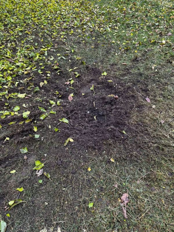 Прилеты "Гераней-2" по целям в городе Новгород-Северский Черниговской области и также характерные следы от попаданий кассетных суббоеприпасов РСЗО "Торнадо-С", также наносившей удар Прилеты "Гераней-2" по целям в городе Новгород-Северский Черниговской области и также характерные следы от попаданий кассетных суббоеприпасов РСЗО "Торнадо-С", также наносившей удар