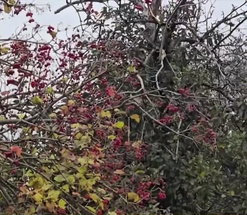  :  &quot;&quot;       .. -  