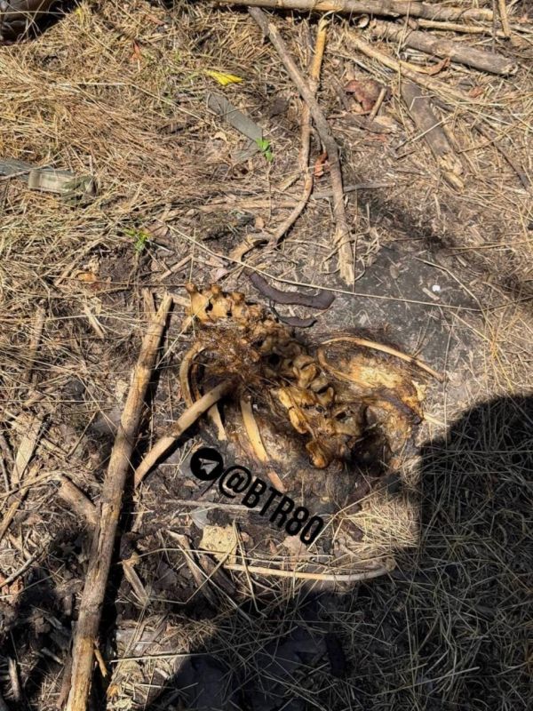 �������� ������� ������� ���������� ��������