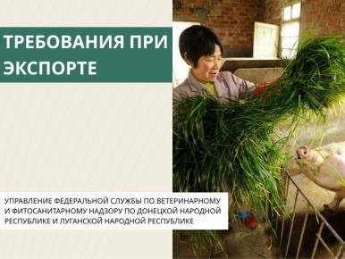   .              (   2308 90 31 00  2309 90 96 09)    ( ) ...