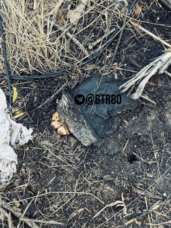 �������� ������� ������� ���������� ��������