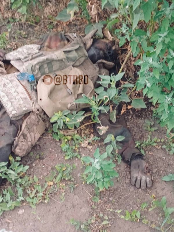 �������� ������� ������� ���������� ��������