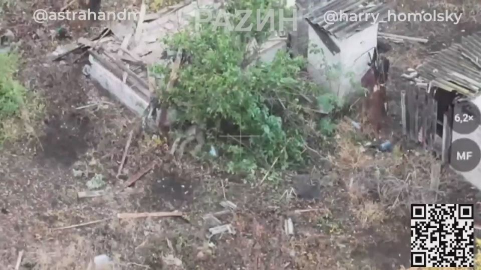  : ,    ,         110         ,    ...