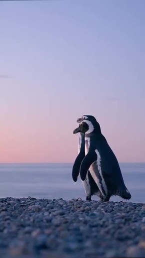  , !