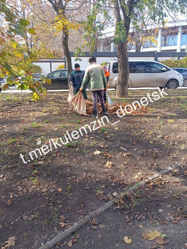 Алексей Кулемзин: Сегодня специалисты коммунального предприятия «Зелёное строительство» выполнили работы по уборке и вывозу листвы в Киевском районе по ул. Артёма, в Калининском – на бул Алексей Кулемзин: Сегодня специалисты коммунального предприятия «Зелёное строительство» выполнили работы по уборке и вывозу листвы в Киевском районе по ул. Артёма, в Калининском – на бул