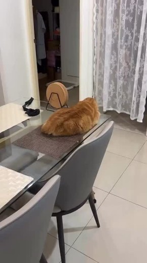 , :.       ?  ?